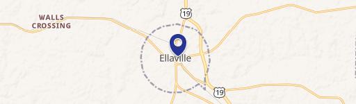 Ellaville, GA 31806