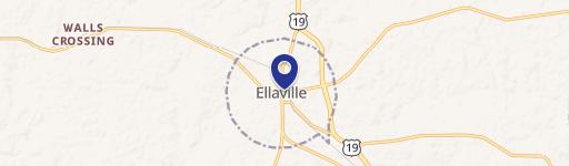 Ellaville, GA 31806