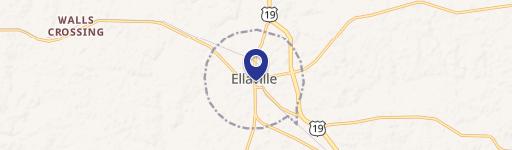 Ellaville, GA 31806