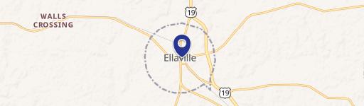 Ellaville, GA 31806