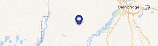 Bainbridge, GA 39817