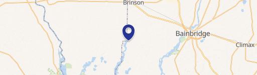 Brinson, GA 39825