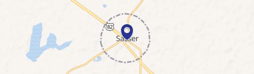 Sasser, GA 39885