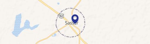 Sasser, GA 39885
