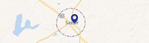 Sasser, GA 39885
