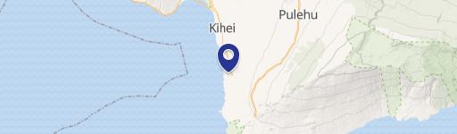 100 Wailea Ike Dr, Unit 1