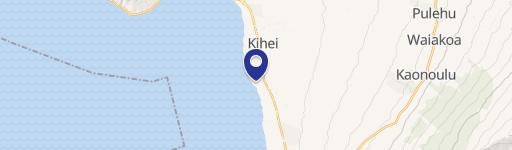 1993 Kihei Rd, Unit 100