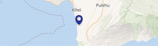 161 Wailea Ike Pl Ste B106