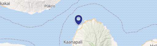 39 Kapalua Plc402