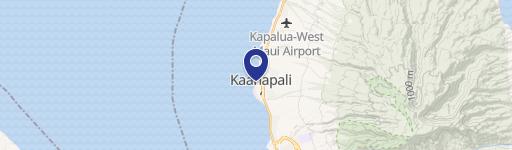 2481 Kaanapali Pkwyc445