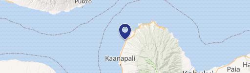 4531 Lowr Honoapiilani Rdc450