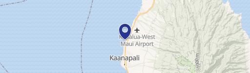 106 Kaanapali Shrs Plc431