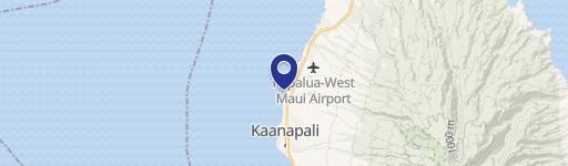 110 Kaanapali Shrs Plc440