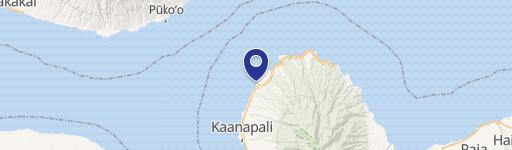 4909 Lowr Honoapiilani Rdc411