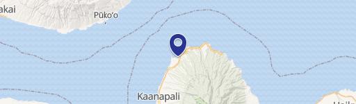 1 Ritz Carlton Dr, Unit CU-20