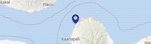 5315 Lowr Honoapiilani Rd, Unit 153