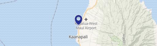 104 Kaanapali Shrs Pl, Unit 9