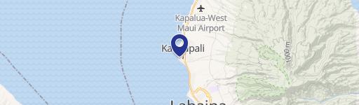 100 Nohea Kai Dr, Unit 2