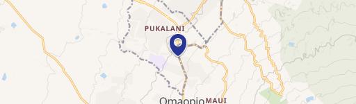 55 Kiopaa Pl, Unit 2