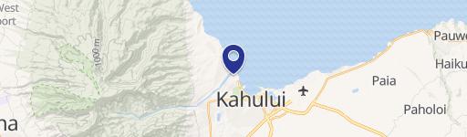 291 Hookahi St Ste, Unit 106