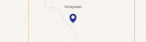 Ocheyedan, IA 51354