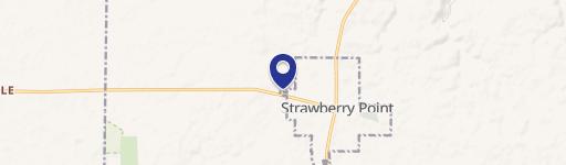 Strawberry Point, IA 52076