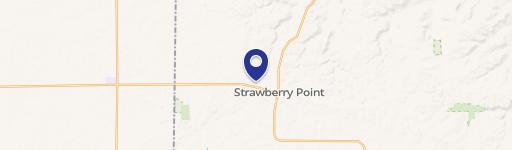 Strawberry Point, IA 52076