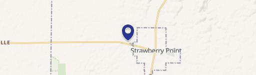 Strawberry Point, IA 52076