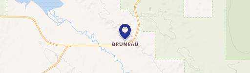 Bruneau, ID 83604
