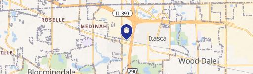 905 Irving Park Blvd, Unit 9