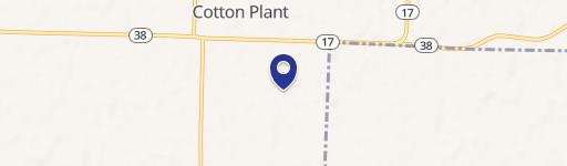 Cotton Plant, AR 72036