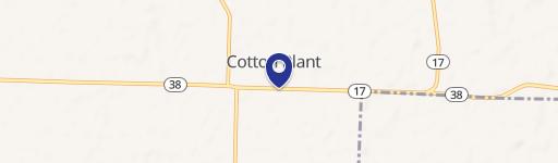 Cotton Plant, AR 72036