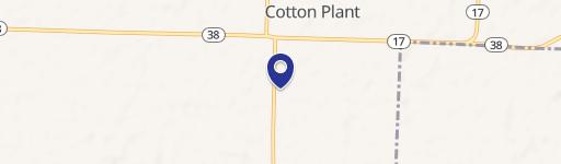 Cotton Plant, AR 72036