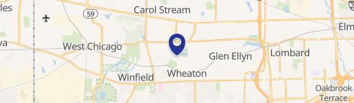 1113 Wheaton Oaks Ct, Unit 5