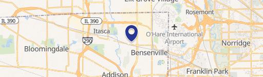 355 Irving Park Rd Lowr, Unit 1