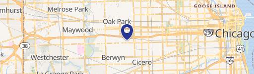 1028 Austin Blvd, Unit 1