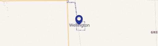 Wellington, IL 60973