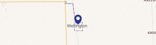Wellington, IL 60973