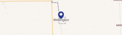 Wellington, IL 60973