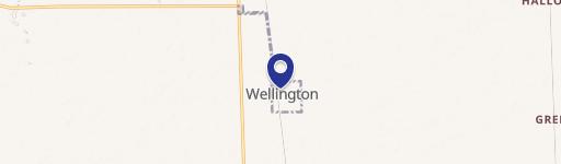 Wellington, IL 60973