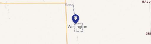 Wellington, IL 60973