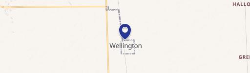Wellington, IL 60973