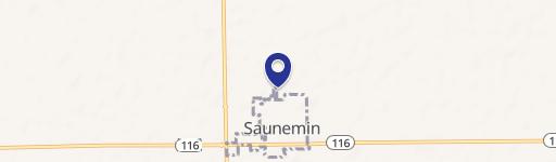 Saunemin, IL 61769