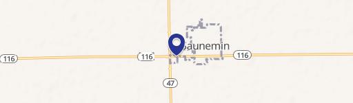 Saunemin, IL 61769