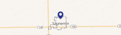 Saunemin, IL 61769