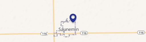Saunemin, IL 61769