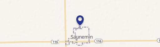 Saunemin, IL 61769