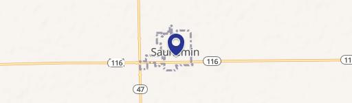 Saunemin, IL 61769