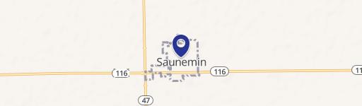 Saunemin, IL 61769