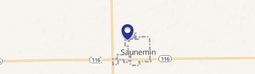 Saunemin, IL 61769